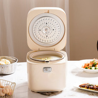 Cuisinière à riz électrique automatique portable carrée, cuve antiadhésive, affichage numérique LED, 500W, capacité 2.1-3.0L, idéale pour hôtels