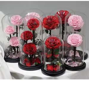 Candelabro de la bella y la bestia rosa de la bella y la bestia bella y la bestia fleur éternelle préservée dans un dôme en verre