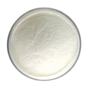 도매 식품 첨가제 락타아제 고활성 원료 베타 갈락토시다제 CAS 9031-11-2 분말 락타아제 효소