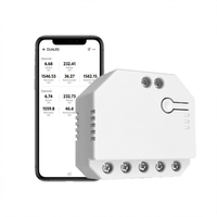 Module d'interrupteur intelligent manuel MINI DUALR3 2 voies avec mesure et temporisation pour Android, Home Bar, eWeLink, Alexa, Google Home
