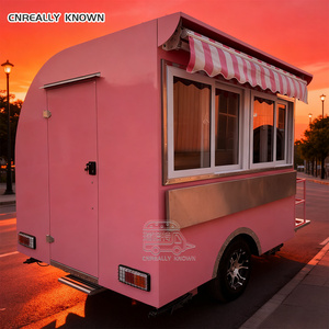 Remolque de Comida OEM de Primera Calidad para Venta de Helados y Comida Caliente en la Calle, en Venta en EE. UU. - Product Image 6