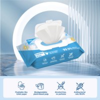 Lingettes humides jetables pour la maison, lingettes nettoyantes non tissées, serviettes en papier humides pratiques pour la salle de bain et les toilettes