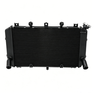 Radiador de Refrigeración de Agua para Motocicleta, Ensamblaje de Tanque de Agua, Piezas de Refrigeración del Motor, <span class=keywords><strong>Precio</strong></span> de Fábrica, <span class=keywords><strong>Z900</strong></span> - Product Image 1