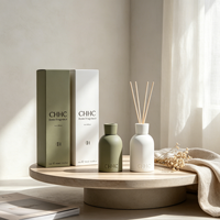 Diffuseur de parfum en céramique 100 ml avec logo personnalisé, ensemble de luxe d'aromathérapie pour hôtel