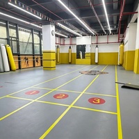 Tapis de lutte de compétition, tapis absorbant les chocs pour les sports de combat