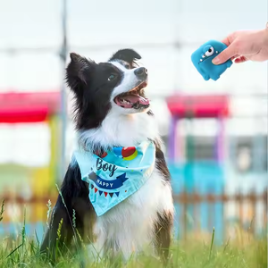 Giocattolo da Masticare per Cani in Gel di Silice, Piccolo, Carino e Divertente, Accessorio Premium per il Tuo Amico Peloso - Product Image 3