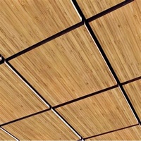 Acplaca-sistema de techo interior, azulejos de techo falsos de aluminio con superficie de grano de madera