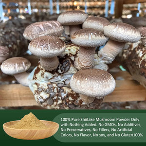 Amulyn Food Grade <span class=keywords><strong>Shiitake</strong></span> Extrait de poudre de champignon Solvant extrait 30% Polysaccharides 1kg pour la santé - Product Image 3