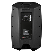 Module d'amplificateur en plastique Accuracy Pro Audio CAV15D3 15 pouces, haut-parleur de caisson de basses actif pour karaoké DJ, enceintes Powerde, boîte de haut-parleurs professionnelle