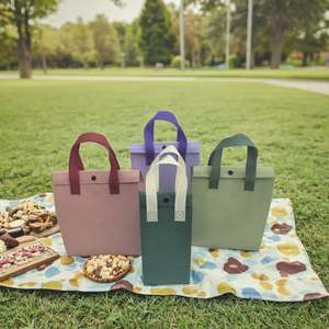 Sac isotherme à déjeuner simple et tendance, motif de dessin animé, sac fourre-tout en mousse pour pique-nique, vin, plage, rangement, sac à déjeuner isotherme durable - Product Image 1