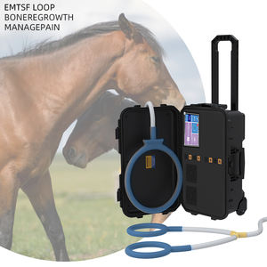 Scalet Pemf Physio magnet terapi mesin Loop tipe berdiri ditargetkan perangkat rehabilitasi fisik dengan Loop Terapi magnetik - Product Image 3