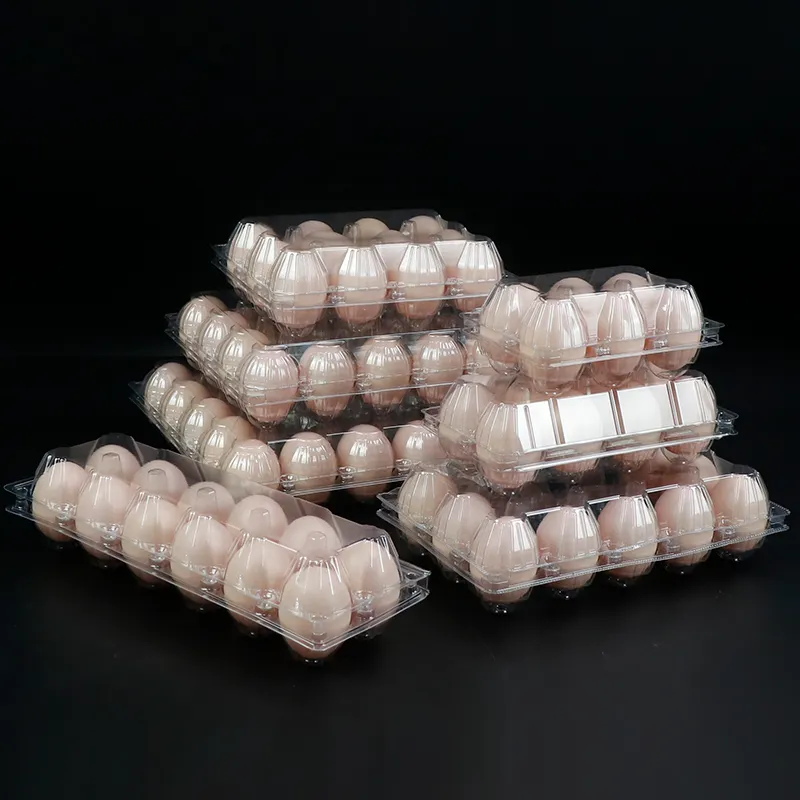 Recyclable Egg Packaging Box 12 Plastic Clear Egg Packaging Container Trays Eggs