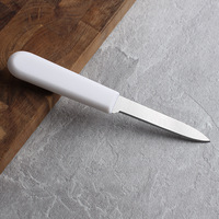 Couteau à désosser en acier inoxydable spécial pour l'abattoir de porc, le rasage des bovins et des moutons, outil de cuisine pour couper la viande
