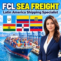 Fret maritime FCL Chine vers le Venezuela République Dominicaine Agent maritime Transitaire Logistique internationale Livraison finale
