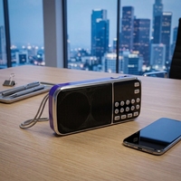 Mini radio AM/FM numérique, haut-parleur Coran, lecteur MP3 de poche en plastique, prise en charge de la carte TF, USB, prise casque, lampe torche LED intégrée L-088