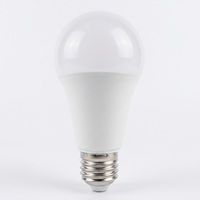 Ampoule LED A60 12W B22/E27 1100Lm 6000K Blanc Froid SMD Couvercle en Plastique AC 150-265V Certifiée CE Hôtel Fabriquée en Chine CRI Élevé 85