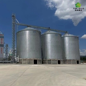 Silos à fèves à fond plat en acier galvanisé à chaud de haute qualité, marque TSE, certifiés ISO9001 et CE, TCK <span class=keywords><strong>12500T</strong></span>, pour élevages de poulets - Product Image 2