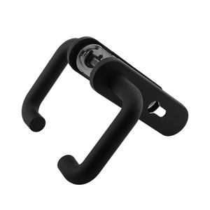 Thị trường Nga Polymer lớp phủ xử lý 60 phút thử nghiệm cửa xử lý đầy đủ với sắt Bản lề cửa kính xử lý Ant cháy cửa - Product Image 3