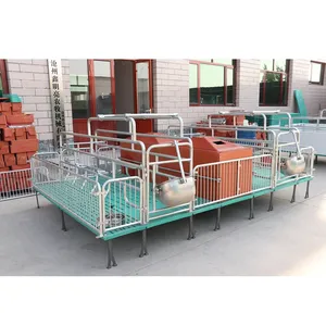 Pig farming equipment for sale