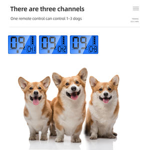 <span class=keywords><strong>Collar</strong></span> de entrenamiento eléctrico para perros, Control remoto, resistente al agua, recargable, con sonido y vibración, productos para perros - Product Image 4