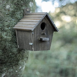 Fabriek Direct Natuurlijk Houtkleurig Massief Hout Vogelhuis Knop Vogelnest Dak Hangbare Vogel Fok Meubelen - Product Image 3