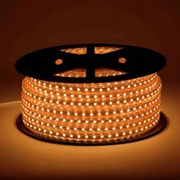 Pita LED Fleksibel Tahan Air IP67 Tegangan Tinggi AC110-220V Smd 2835 60LEDS/M RGB