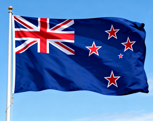 Cung cấp bán buôn của tùy chỉnh quốc gia cờ với hai mặt in ấn 3x5 tùy chỉnh quốc gia cờ trong tất cả các kích cỡ cờ tất cả các nước - Product Image 1