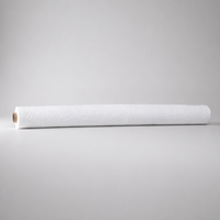 Tissu géotextile non tissé en filament continu PET haute résistance pour la stabilisation des sols, le renforcement du terrain et la filtration
