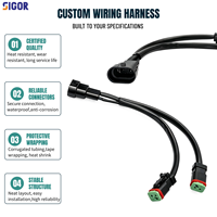 Adaptateur de câblage automobile H10 Deutsch DT isolé en PBT pour feux LED, conversion de phares, Plug & Play