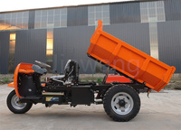 Camion à benne basculante diesel Jinwang de 2 tonnes, mini-dumper, tricycle à benne basculante, mini-dumper à 3 roues