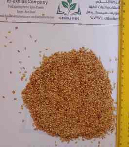 Prêt pour un envoi immédiat de graines de sésame de haute qualité de nos fermes et sous notre surveillance produites en egypte - Product Image 2