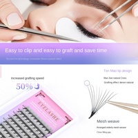 0.07mm 10D collé plat pointu racine de cheveux pré-fait en gros autocollant de décoration ANIME SPIKES Extensions de cils greffage enraciné