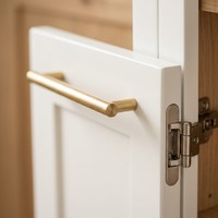 Système d'armoires de cuisine sur mesure Shaker blanc avec dessin AutoCAD / CAO |   Échantillon gratuit Personnalisation complète de la maison