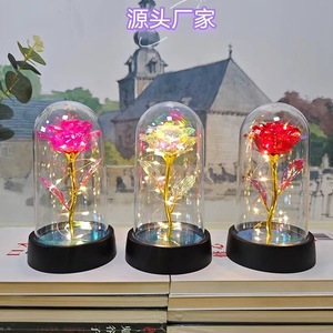 Fleur artificielle <span class=keywords><strong>en</strong></span> <span class=keywords><strong>verre</strong></span> avec <span class=keywords><strong>rose</strong></span> éternelle <span class=keywords><strong>et</strong></span> lumière LED pour femmes, <span class=keywords><strong>rose</strong></span> de <span class=keywords><strong>la</strong></span> <span class=keywords><strong>Belle</strong></span> <span class=keywords><strong>et</strong></span> <span class=keywords><strong>la</strong></span> Bête, cadeaux d'anniversaire pour filles, Noël - Product Image 3
