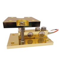 Celda de Carga de Doble Viga de Corte de 10T 20T 30T 40T, IP67 IP68, Acero Aleado, Sensor de Pesaje RS485 para Báscula de Camiones