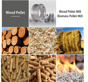 Vòng chết pelletizer SINH KHỐI mùn cưa gỗ PELLET Mill máy thông gỗ PELLET máy làm bằng gỗ mùn cưa PELLET bấm máy - Product Image 3