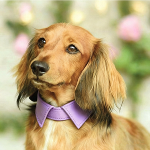 <span class=keywords><strong>Collar</strong></span> de Lujo Ajustable para Mascotas en Rojo, Rosa y Morado Reciclado, <span class=keywords><strong>Collar</strong></span> de Perro con Lazo de Cuero Vegano Cómodo y Personalizado al por Mayor - Product Image 4