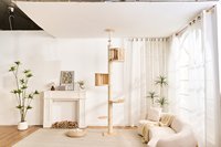 Nouvelle Conception Tour d'escalade en bois et sisal du sol au plafond avec mobilier d'appartement et plateforme de saut, Maison pour animaux, Arbre à chat