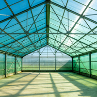 Serre multi-travées moderne en panneaux de polycarbonate et structure en acier pour élevage de poulets, usage agricole et culture de plantes à forte luminosité