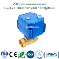 CWX-25S Mini actionneur électrique moteur robinet à tournant sphérique d'eau 5V 12V 24V 110V 220V motorisé en acier inoxydable 304 220V vanne électrique