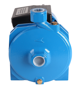 热卖3hp 2.2kw单级铸铁家用离心水泵铜CM100离心泵 - Product Image 4