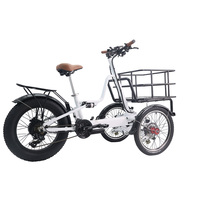 Vélo cargo électrique à 3 roues de haute qualité OEM, familial, blanc et noir, batterie au lithium, moteur à moyeu arrière