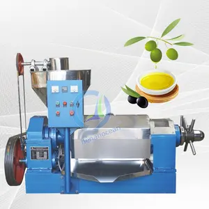 Industrial Oil Extractor Seed Sesame Oil Press Black Cumin Cardamom Oil Extraction Machine