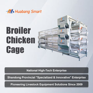 Gabbie per Polli da Carne Commerciali, Moduli per Gabbie Avicole, Sistema di Gabbie per Polli da Carne Completamente Automatico per Uso su Larga Scala - Product Image 2
