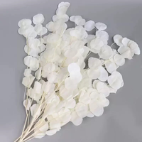 Feuilles de pomme séchées naturelles, blanches et roses, décoratives, pour arrangements de mariage.