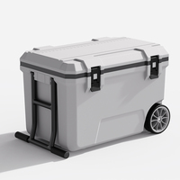 Glacière Rigide Isolée en Plastique Personnalisée pour l'Extérieur, Boîte de Rangement Portative pour Aliments, Barbecue et Pêche, Réfrigérateur de Voiture Type Igloo