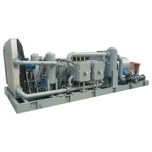 High Pressure Totally Oil Free Cng Compressor Natural Gas Compressor