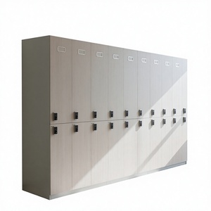 Armario Compacto Laminado de Acero Inoxidable Moderno y Ecológico de Doble Puerta, Garantía de 5 Años, Resistente a la Humedad, al Fuego y al Agua, Villa 2 Compac - Product Image 1