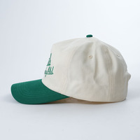 Gorra de béisbol sin estructura logotipo bordado gorra papá bordado lavado ácido al por mayor