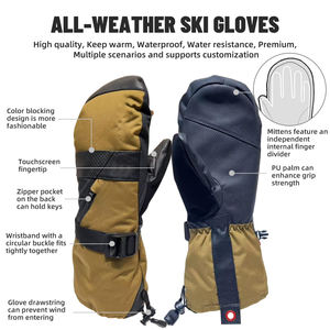 قفازات تزلج شتوية فاخرة مقاومة للماء بأصابع كاملة قفازات للتزلج على الجليد قابلة للتخصيص بشعار من قماش التويل مع شاشة تعمل باللمس وسحاب وطبقة بولي يوريثان - Product Image 2